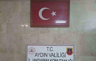 Germencik’te ruhsatsız silah ele geçirildi