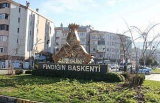 Giresun’da kavşaklar fındık ağaçları ile süslenecek