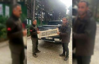 Habur Sınır Kapısı’nda 11 kınalı keklik ele...