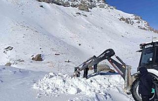 Hakkari 3 bin 500 rakımda zorlu çalışma