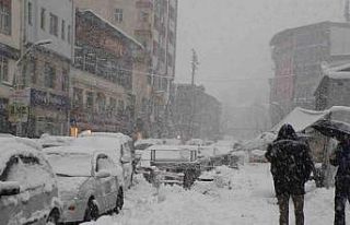 Hakkari’de 20 araçla karla mücadele yapıldı