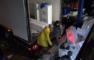 Hamsi balıkçıların rotasını İğneada’ya çevirdi