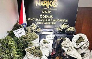 Hayvan damında uyuşturucu imalatı ve ticaretine...