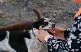 Hepsiburada’nın Kurtaran Ev’e çip ve karne desteği...