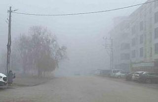 Iğdır’da yoğun sis etkili oldu