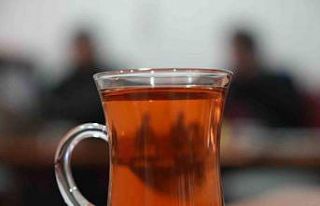 Ihlamur altınla yarışıyor: Kilosu 2 bin 500 TL