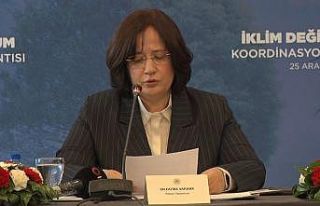 İklim Değişikliği ve Uyum Koordinasyon Kurulu...
