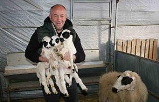 İlk kuzularına adeta çocuk gibi bakıyor