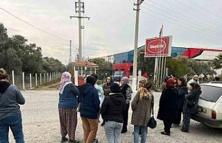 İşletme iflas etti alacaklılar kapıya dayandı