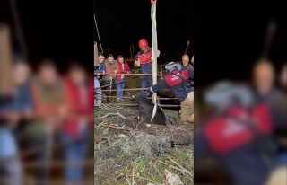 İtfaiye ekipleri buzağıyı düştüğü kuyudan...