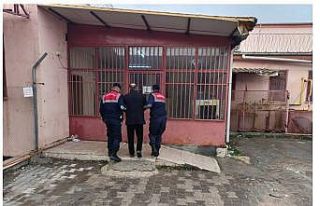 Jandarma aranan kaçakları tek tek yakalıyor