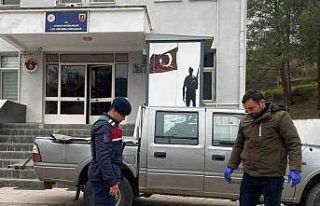 Jandarma, yaralı karacaya sahip çıktı