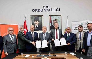 Kahverengi kokarca ile mücadeleye DOKAP desteği