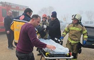 Kamyonet ile otomobil çarpıştı: 2 yaralı