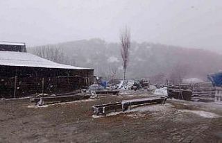 Kar, Balkanlar’dan Edirne’ye giriş yaptı: Sınır...