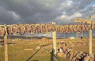 Kars’ta kazlar tellerde kurutuluyor