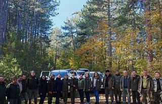 Kastamonu’da yaban hayatı envanteri tamamlandı