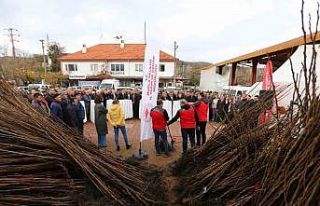 Kavaklıdere’de Cennet Elması fidanı dağıtımı