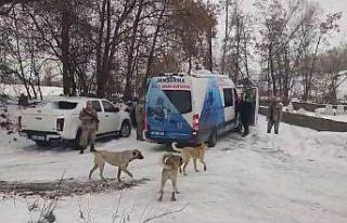 Kayıp öğretmeni arama çalışmalarına başlandı