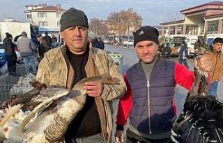 Kaz tüketimi arabaşına bağlı