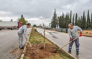 Kepez tarihi mirasıyla yeşilleniyor