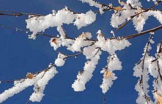 Kırağı tutan ağaçlar kartpostallık görüntüler...