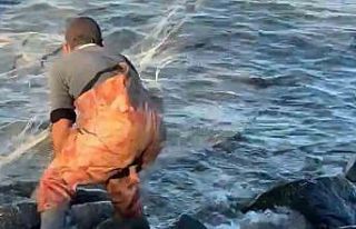 Kıyıya vuran balıkları saçma ağla yakalamak...