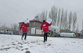 Kızılay Ağrı Şubesi, gıda kolilerini ihtiyaç...