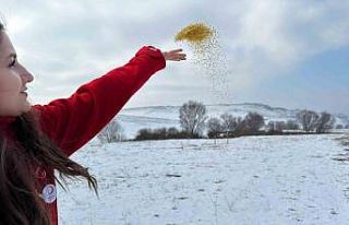 Kızılay gönüllüleri, Ağrı’da soğukalrda...
