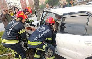 Kontrolden çıkan araç ağaca çarparak durabildi