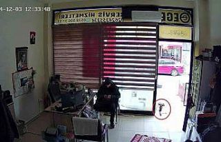 Köpek, esnafa vefa borcunu böyle ödedi