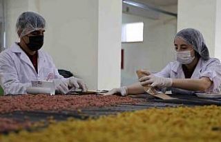 Kullanım dışı gıdalar, öğrencilerin ellerinde...