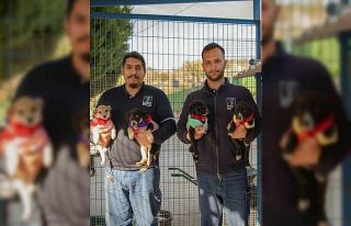 Kuşadası Belediyesi 2024 yılında 526 can dostu...