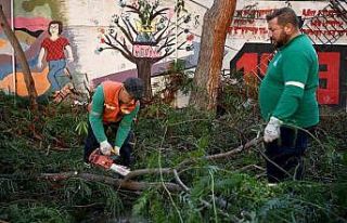 Kuşadası’nda ağaç atıkları ihtiyaç sahipleri...
