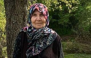 Kütahya’da kayıp kadın 5 saat sonra sağ olarak...