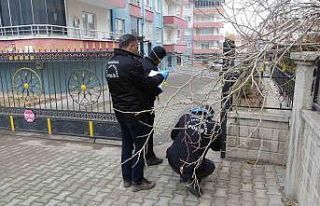 Malatya’da başından silahla vurulan genç kurtarılamadı