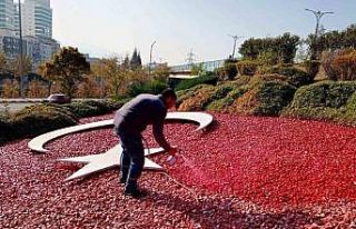 Manisa’nın güzelliğine güzellik katıyorlar