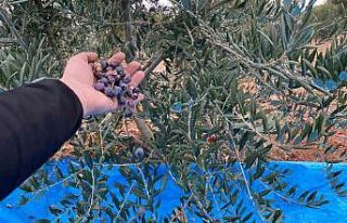 Mayıslar Mahallesi’nde soğuk havaya rağmen 300...