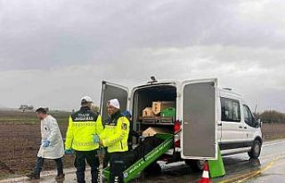 Milas’ta yol kenarında bulunan erkek cesedinin...