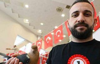 Milyonluk güvercinler Antalya’daki festivalde buluştu