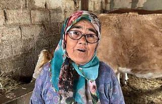 Muğlalı Günay teyze gençlere ilham oluyor