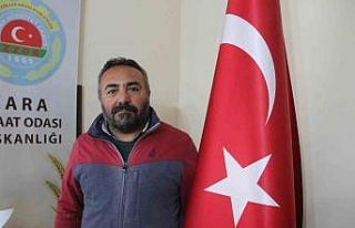 Muhtarın ölümüne neden olan ayı telef edildi