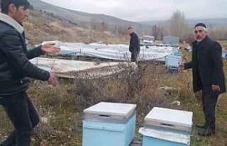 Muradiye’de ayılar kovanlara ve kümes hayvanlarına...