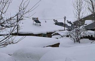 Muş’ta yüksek kesimdeki köyler kara gömüldü