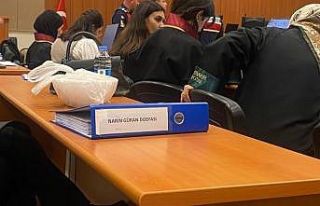Narin Güran davasında anne-abi-amcaya ağırlaştırılmış...