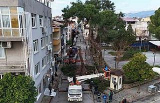 Nazilli’de tehlike oluşturan çam ağacı kaldırıldı