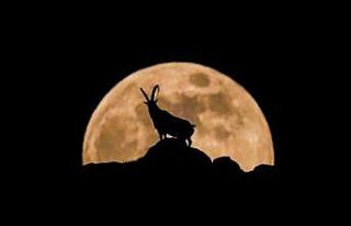 Niğdeli fotoğraf sanatçısı Aladağlar’daki...