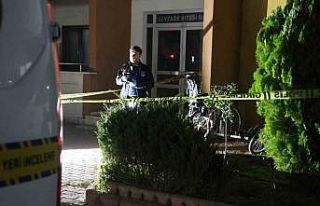 Öğretmen karısını öldüren zanlı bıçak araştırması...