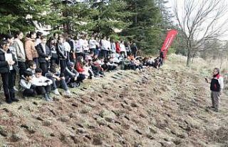 Okul arazisine lavanta, biberiye, kekik ve adaçayı...