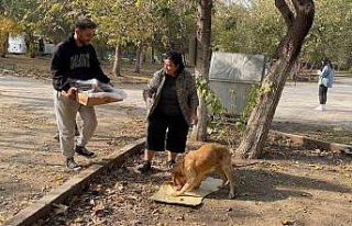 Osmaniye’de sokak hayvanları için doğaya yem...